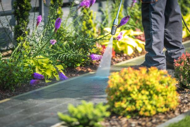 Best Soft Washing for Delicate Surfaces in Lake Hiawatha, NJ